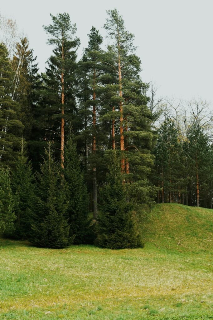 servicios ganaderos en Ubrique sostenibles